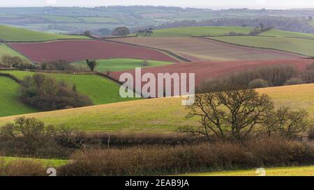 Campi di Berry Pomeroy Village in Devon in Inghilterra in Europa Foto Stock