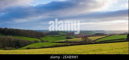 Campi di Berry Pomeroy Village in Devon in Inghilterra in Europa Foto Stock