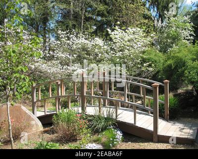Foot Bridge nei Giardini Botanici di Sayen Park, Hamilton Township Park System, Hamilton, NJ, USA Foto Stock