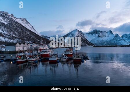 Norvegia, Nord-Norge, Senja, Husøy, Inverno, Tramonto, montagna, picchi, sera, Isola, fiordo, Mare, pesca, Barche Foto Stock