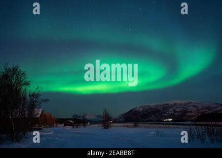 Norvegia, Nord-Norge, Storslt, Inverno, montagna, picchi, Notte, Aurora, aurora Nord, fiordo Foto Stock