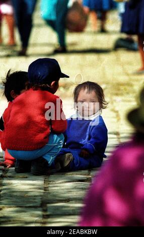 Ricci di strada in una piazza a Cuenca, Ecuador Foto Stock