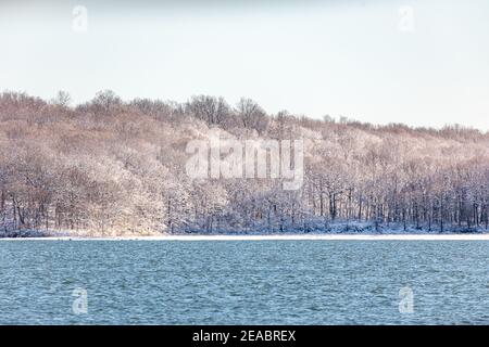 Mashomack preservare il paesaggio invernale, Shelter Island, NY Foto Stock