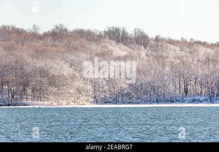 Mashomack preservare il paesaggio invernale, Shelter Island, NY Foto Stock