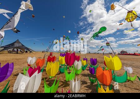 13° Festival internazionale del kite a Schillig, distretto del comune di Wangerland, distretto di Friesland, bassa Sassonia, Foto Stock