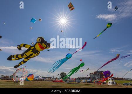 14° Festival internazionale del kite a Schillig, a luce posteriore, distretto del comune di Wangerland, distretto di Friesland, bassa Sassonia, Foto Stock