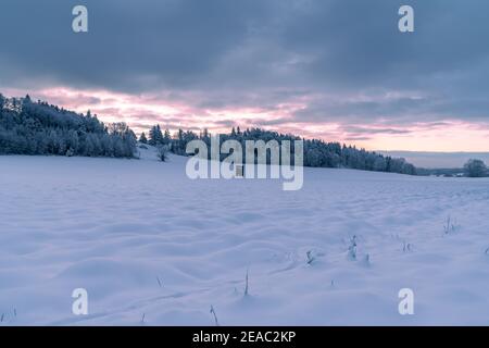 Raichberg, Albstadt, Onstmettingen, inverno, mondo invernale, neve, mattina gelida, Alb sveva, Baden-Wuerttemberg, Germania, Europa Foto Stock