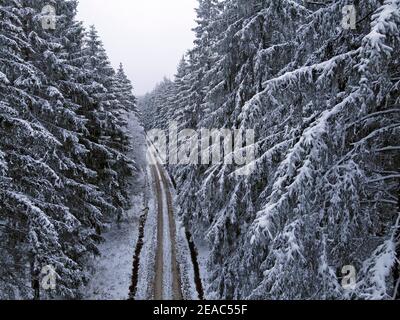 Foresta invernale sull'Erbeskopf (816 m), montagna più alta della Renania-Palatinato, Parco Nazionale Hunsrück-Hochwald, Renania-Palatinato, Germania Foto Stock