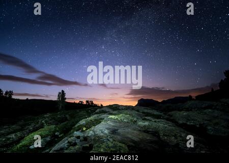 Stalloni di Sibe, sotto le stelle, Svizzera Foto Stock