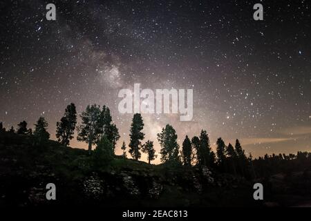 Stalloni di Sibe, sotto le stelle, Svizzera Foto Stock