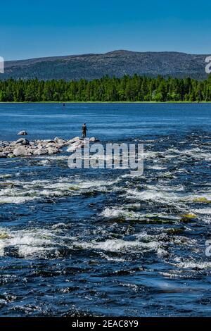 Volare pescatore su un fiume in Norvegia Foto Stock