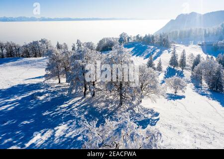 Svizzera, paesaggio invernale nel Giura, vista aerea Foto Stock