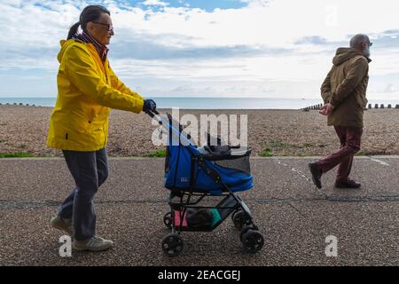 Inghilterra, East Sussex, Eastbourne, Woman Walking sulla passeggiata Eastbourne Seafront spingendo Buggy con il cane all'interno Foto Stock