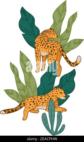 Leopardo che si posa e si nasconde in verde tropici fogliame Illustrazione Vettoriale