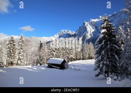 Foresta invernale di fronte ai Monti Karwendel, Mittenwald, Werdenfelser Land, alta Baviera, Baviera, Germania meridionale, Germania, Europa Foto Stock