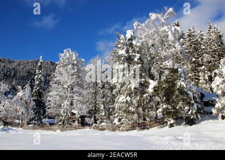 Winterlandschaft bei Mittenwald, Werdenfelser Land, Oberbayern, Bayern, Süddeutschland, Deutschland, Europa Foto Stock