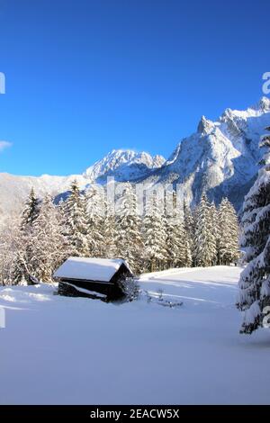 Foresta invernale di fronte ai Monti Karwendel, Mittenwald, Werdenfelser Land, alta Baviera, Baviera, Germania meridionale, Germania, Europa Foto Stock