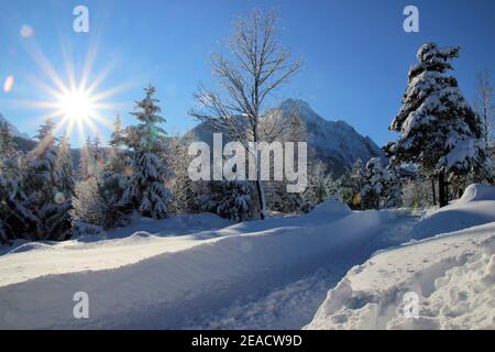 Foresta invernale di fronte ai Monti Karwendel, Mittenwald, Werdenfelser Land, alta Baviera, Baviera, Germania meridionale, Germania, Europa Foto Stock