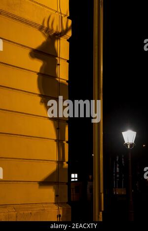 Germania, Sassonia-Anhalt, Magdeburgo, l'ombra di un cervo si può vedere sulla facciata del municipio. Foto Stock