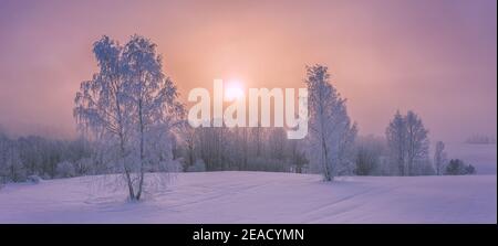 Paesaggio invernale con nebbia. Paesaggio caldo e freddo dell'alba Foto Stock