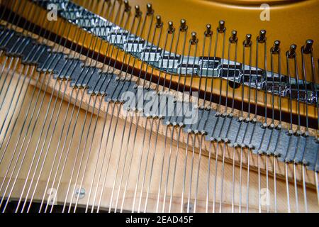 Un primo piano della struttura di stringa interna di un top pianoforte a coda Foto Stock