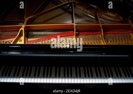 Un primo piano della struttura di stringa interna di un top pianoforte a coda Foto Stock