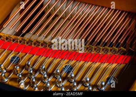 Un primo piano della struttura di stringa interna di un top pianoforte a coda Foto Stock