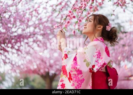 donna in yukata (abito kimono) guardando fiore sakura o fiore di ciliegio fiorire nel giardino Foto Stock