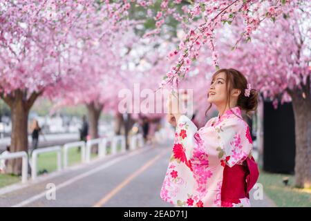 donna in yukata (abito kimono) guardando fiore sakura o fiore di ciliegio fiorire nel giardino Foto Stock