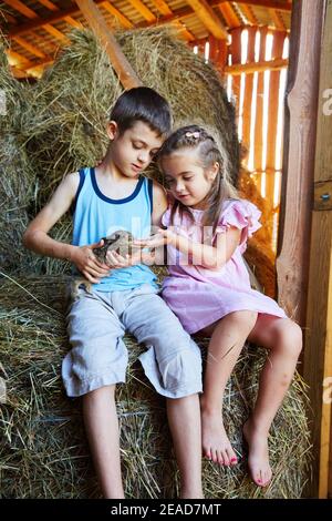 Due ragazzi curiosi stanno abbracciando e toccando la lepre selvaggia del bambino. Storie di villaggio Foto Stock