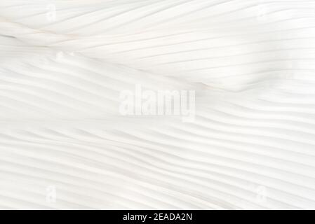 Colore lattiginoso morbido bianco naturale Foto Stock