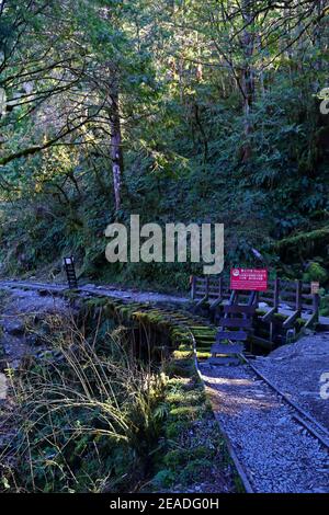 (Jianqing Huaigu Trai) all'area ricreativa della Foresta Nazionale di Taipingshan in Yilan, Taiwan Foto Stock