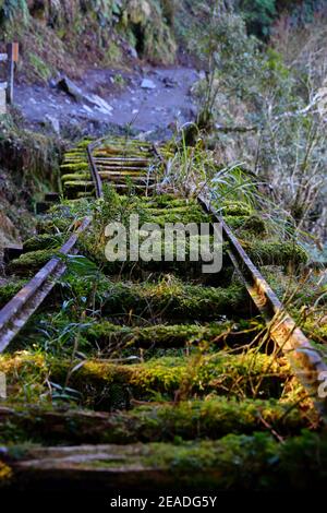 (Jianqing Huaigu Trai) all'area ricreativa della Foresta Nazionale di Taipingshan in Yilan, Taiwan Foto Stock