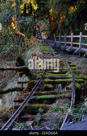 (Jianqing Huaigu Trai) all'area ricreativa della Foresta Nazionale di Taipingshan in Yilan, Taiwan Foto Stock