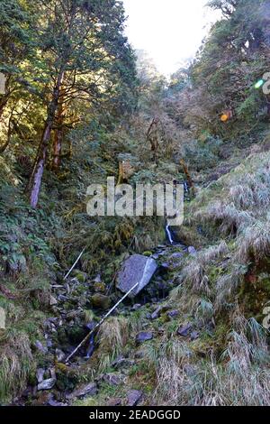 (Jianqing Huaigu Trai) all'area ricreativa della Foresta Nazionale di Taipingshan in Yilan, Taiwan Foto Stock