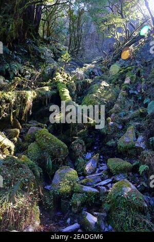 (Jianqing Huaigu Trai) all'area ricreativa della Foresta Nazionale di Taipingshan in Yilan, Taiwan Foto Stock