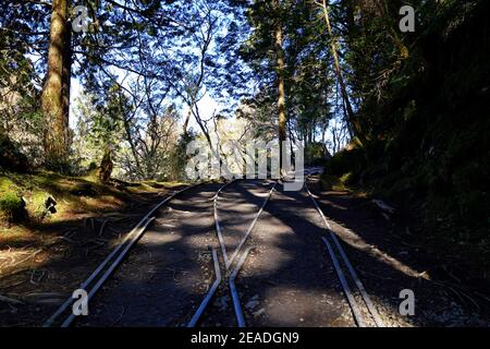 (Jianqing Huaigu Trai) all'area ricreativa della Foresta Nazionale di Taipingshan in Yilan, Taiwan Foto Stock