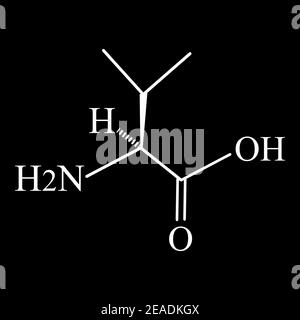 Valina aminoacido. Formula molecolare chimica dell'aminoacido valinico. Illustrazione vettoriale su sfondo isolato Illustrazione Vettoriale