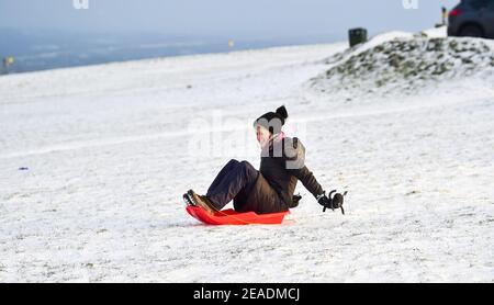 Brighton UK 9 febbraio 2021 - le famiglie godono di un po 'di divertimento slitta nella neve a Devils Dyke sulla South Downs Way appena a nord di Brighton oggi come alcune parti della Gran Bretagna vivere il più freddo giorno d'inverno finora: Credit Simon Dack / Alamy Live News Foto Stock