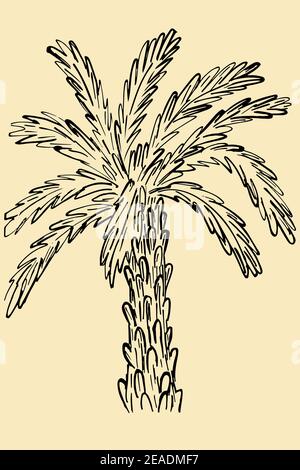 Schizzo della struttura ad albero di palma. Vettore, palma su sfondo marrone. Albero esotico a mano libera, illustrazione semplice, oggetto isolato. Illustrazione Vettoriale