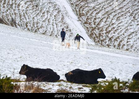 Brighton UK 9 febbraio 2021 - Dog Walkers nella neve a Devils Dyke sul modo di South Downs appena a nord di Brighton oggi come alcune parti della Gran Bretagna sperimentare il giorno più freddo dell'inverno finora: Credit Simon Dack / Alamy Live News Foto Stock