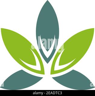 Semplice CBD icona foglia di cannabis modello vettoriale ispirazione disegno Illustrazione Vettoriale