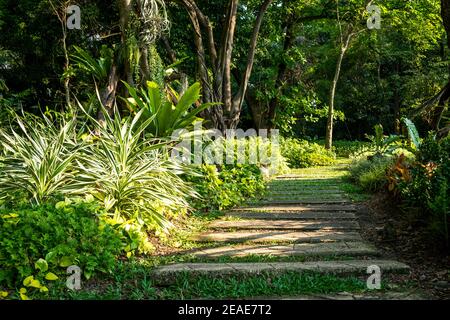 Paesaggistica nel giardino, passerella da cemento foglio Foto Stock