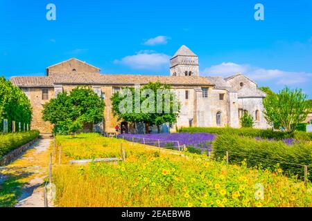 Campo di lavanda nel monastero di Saint Paul de Mausole In Francia Foto Stock