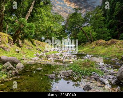 Idilliaco fiume attraverso la foresta al lago Furnas sull'isola di Sao Miguel, Azzorre Foto Stock