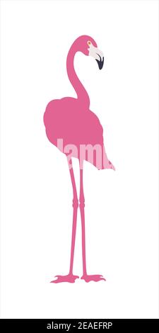 Silhouette di uccello fenicottero rosa. Uccello è in piedi su entrambe le gambe. Illustrazione vettoriale isolata. Illustrazione Vettoriale