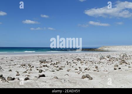 Punto di volontariato, Falkland orientale Foto Stock