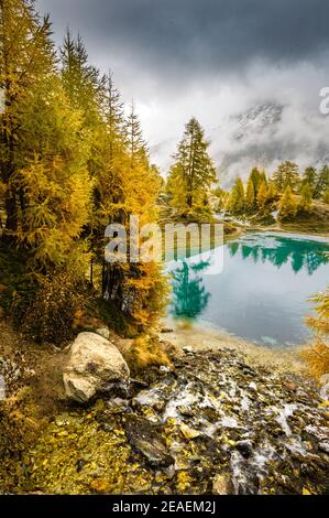 Umore autunnale sul lago alpino in Vallese Foto Stock