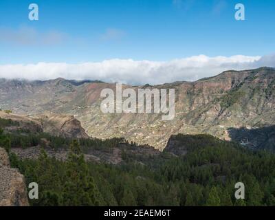 Vista panoramica di un paesaggio incredibile al parco Roque Nublo in montagne centrali interne dal famoso sentiero escursionistico Gran Canaria con alberi di pino verde e. Foto Stock