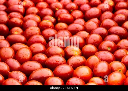 Pomodori, pomodori freschi succosi e rossi da cocktail lavati da vicino. Scorte Foto Stock